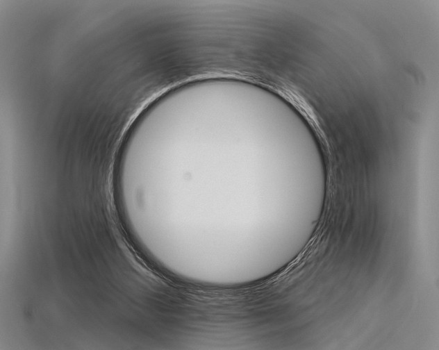 X0000115830108200911131136