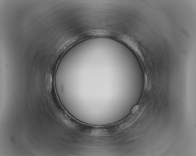 X0000115830109200911131136