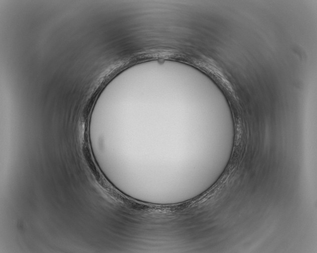 X0000115830110200911131136