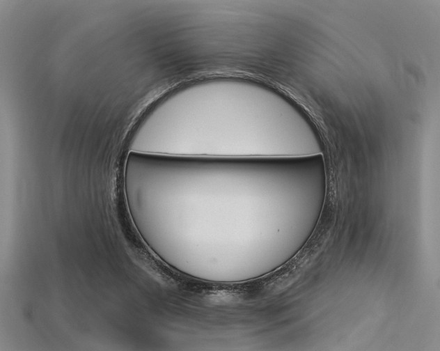 X0000115830111200911131136