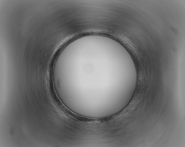 X0000115830112200911131135