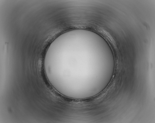 X0000115830113200911131135