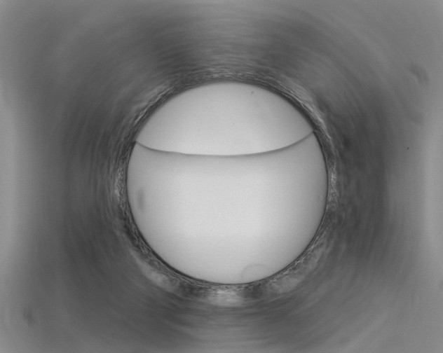 X0000115830114200911131135