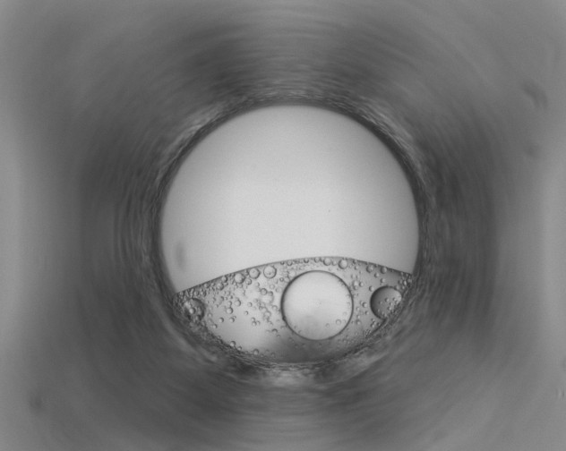 X0000115830115200911131135