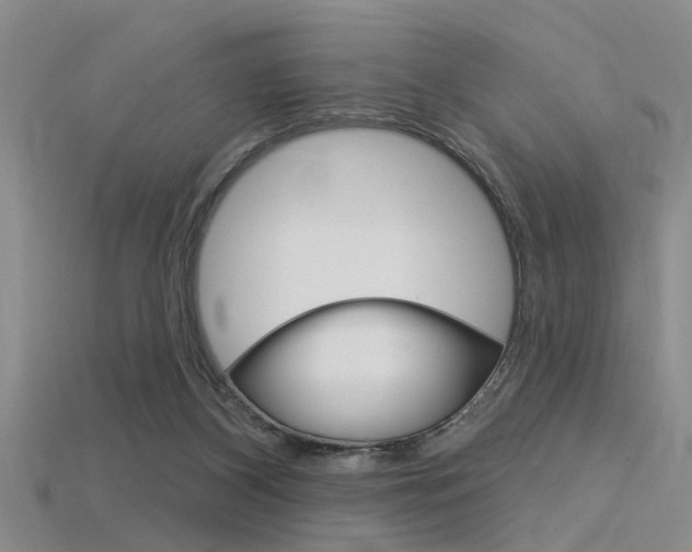 X0000115830116200911131135