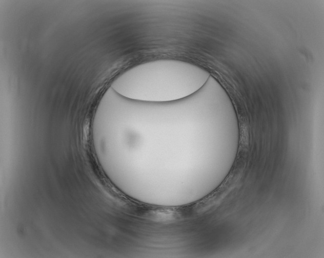 X0000115830118200911131135