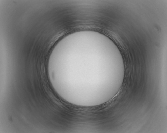 X0000115830120200911131135