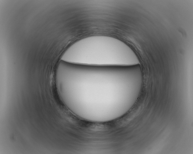 X0000115830123200911131135