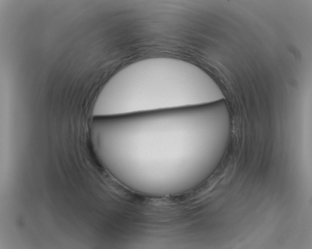 X0000115830127200911131135