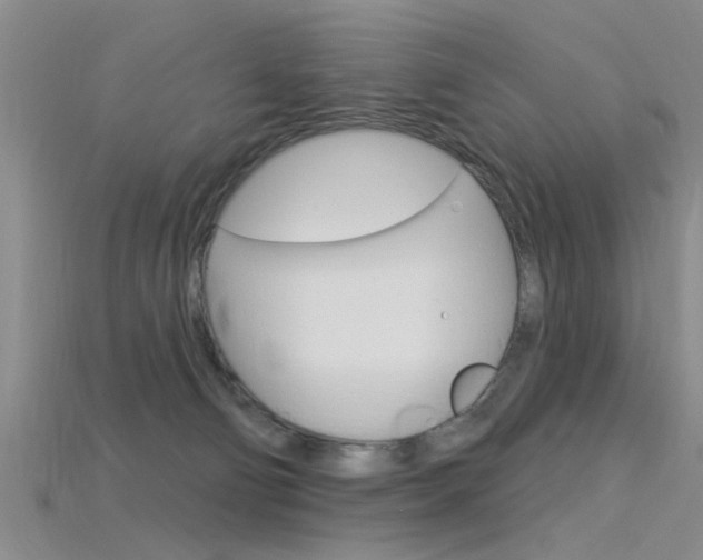 X0000115830130200911131135