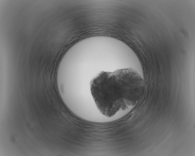 X0000115830131200911131135