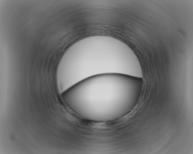 X0000115830132200911131135