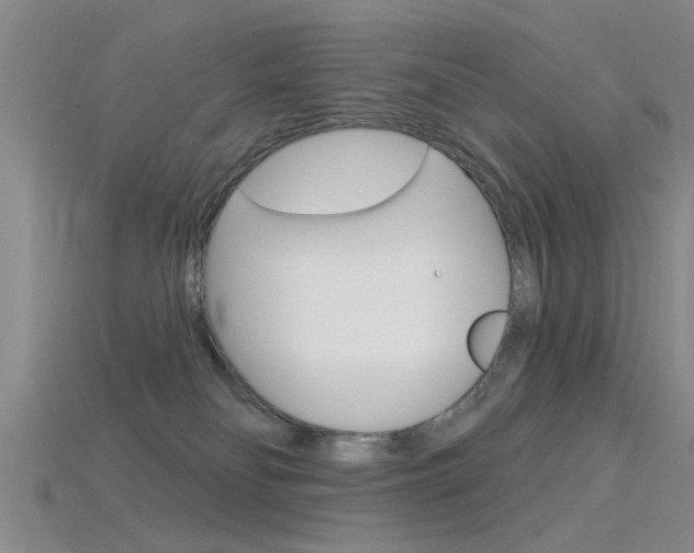 X0000115830134200911131135