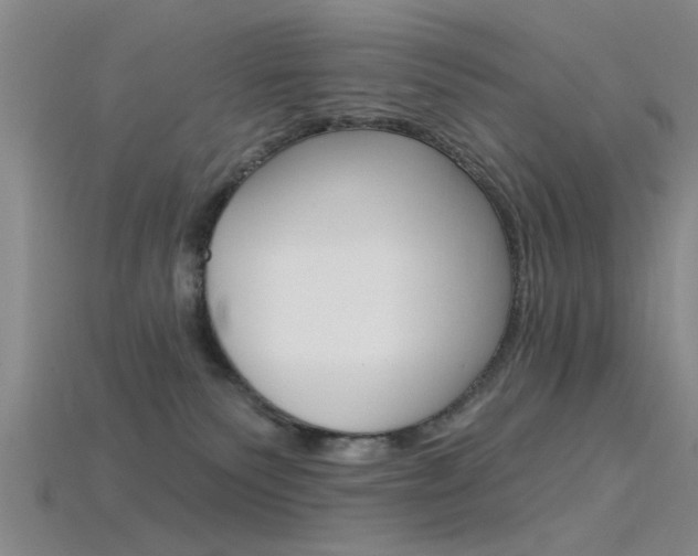 X0000115830135200911131135