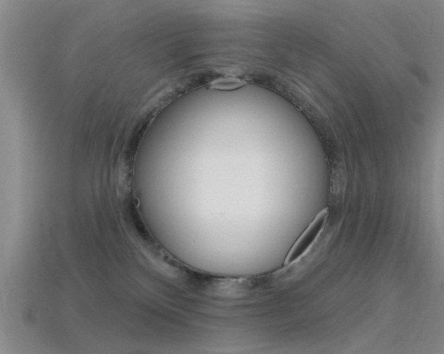 X0000115830136200911131135