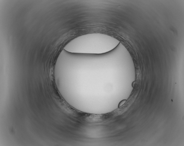 X0000115830138200911131135