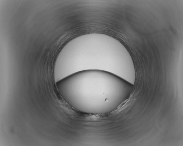 X0000115830140200911131135