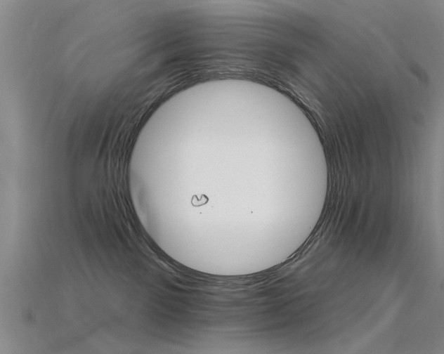 X0000115830141200911131135