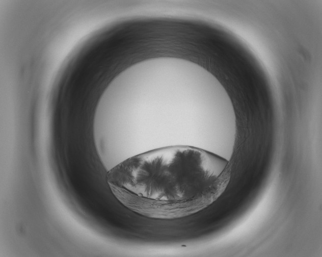 X0000115830143200911131135