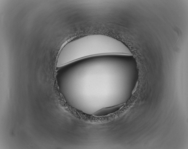 X0000115830144200911131135