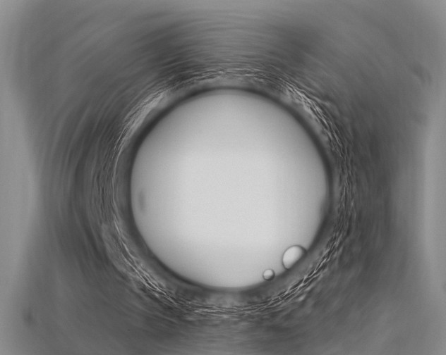 X0000115830145200911131134