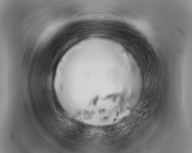 X0000115830146200911131134