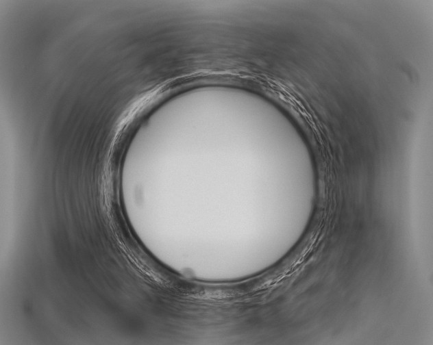 X0000115830149200911131135