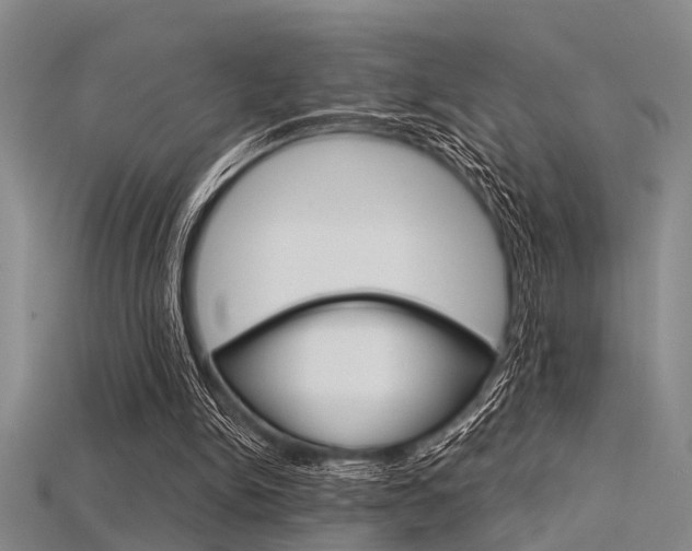 X0000115830150200911131135