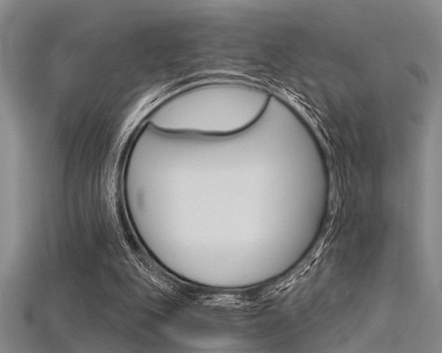 X0000115830151200911131135