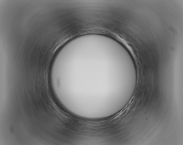 X0000115830154200911131135