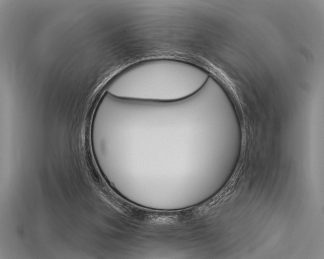 X0000115830155200911131135