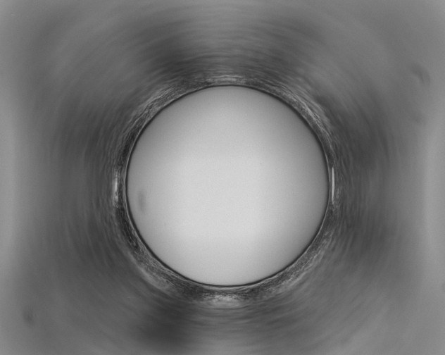 X0000115830157200911131135