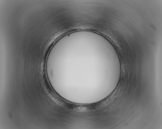 X0000115830159200911131135