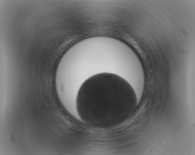 X0000115830161200911131135