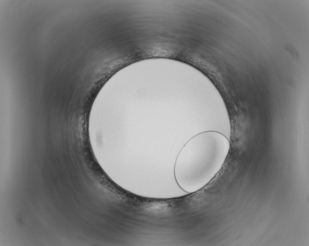 X0000115830162200911131135