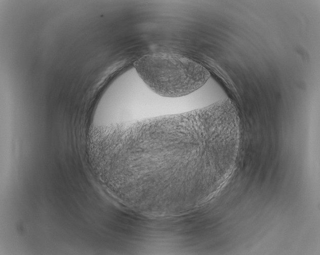 X0000115830163200911131135