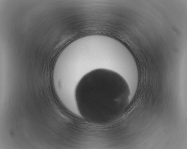 X0000115830165200911131135