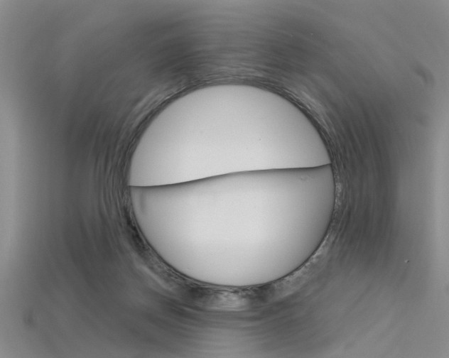 X0000115830166200911131135