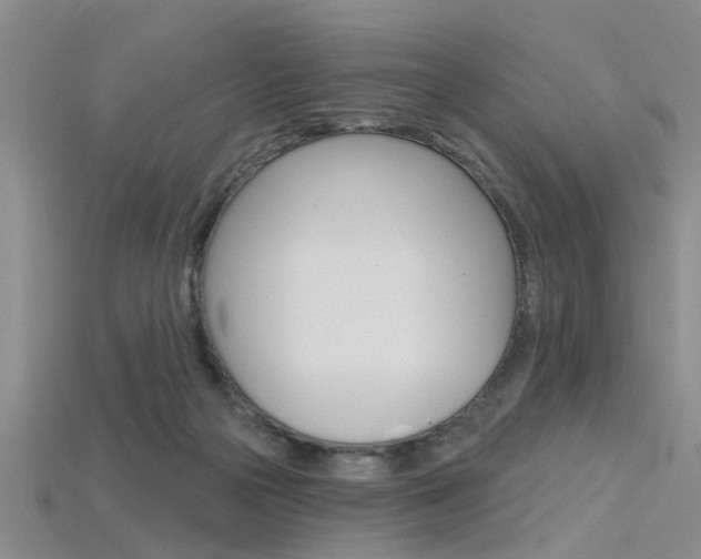 X0000115830169200911131135