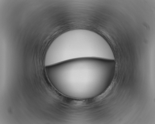 X0000115830170200911131135