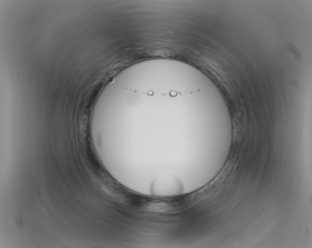 X0000115830171200911131135