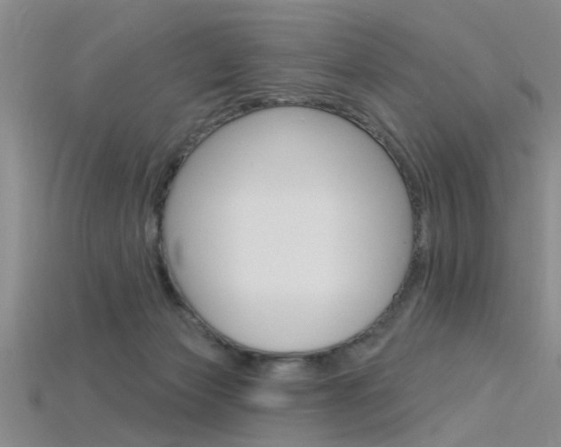 X0000115830173200911131135