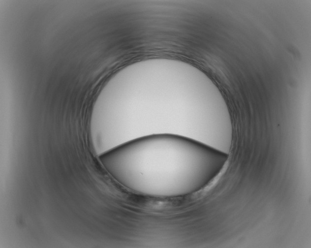 X0000115830174200911131135