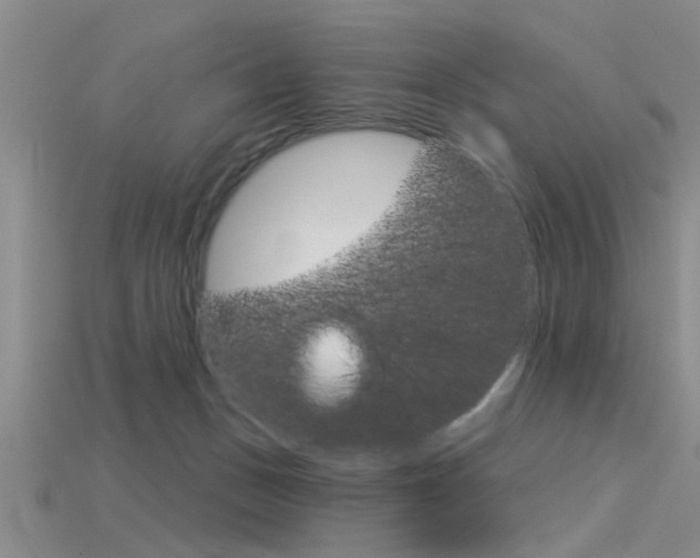 X0000115830175200911131135