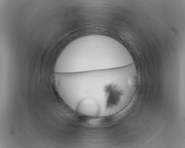 X0000115830178200911131135