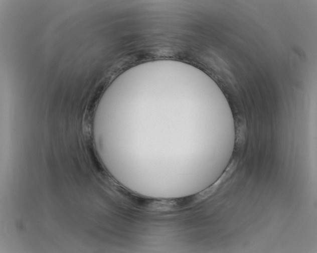 X0000115830179200911131135