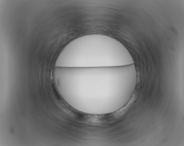 X0000115830182200911131135