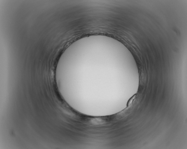 X0000115830183200911131135