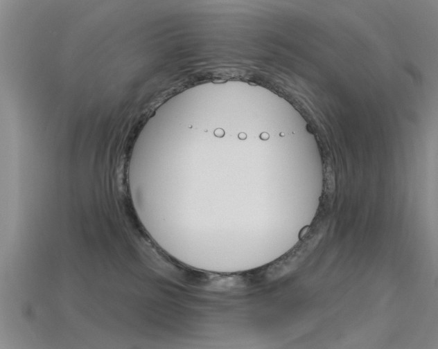 X0000115830185200911131135