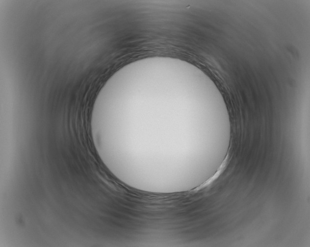 X0000115830186200911131135